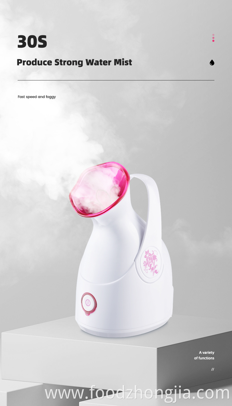 Mini Custom Logo Private Label 55/100ml Capacity Portable Hot Mist Moisturizing Nano Face Ionic Facial Steamer